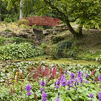 Batsford Arboretum, Batsford Park, Moreton in Marsh